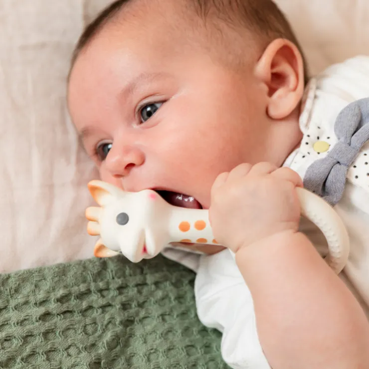 Jouets 0-2 Ans|Matières Naturelles-Sophie la girafe Anneau de dentition Ring So'Pure